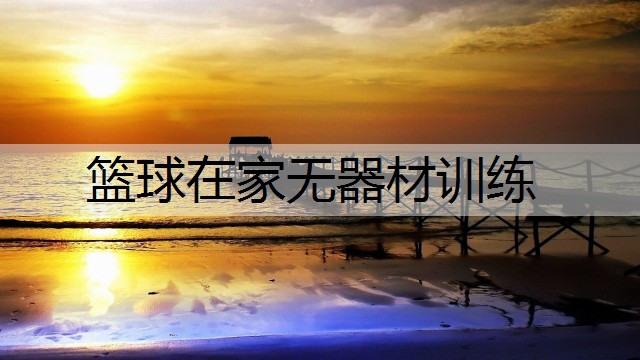 篮球在家无器材训练