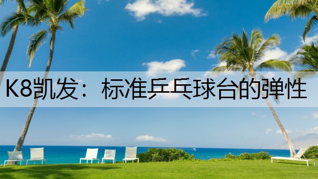 K8凯发：标准乒乓球台的弹性