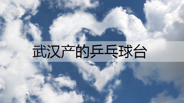 武汉产的乒乓球台
