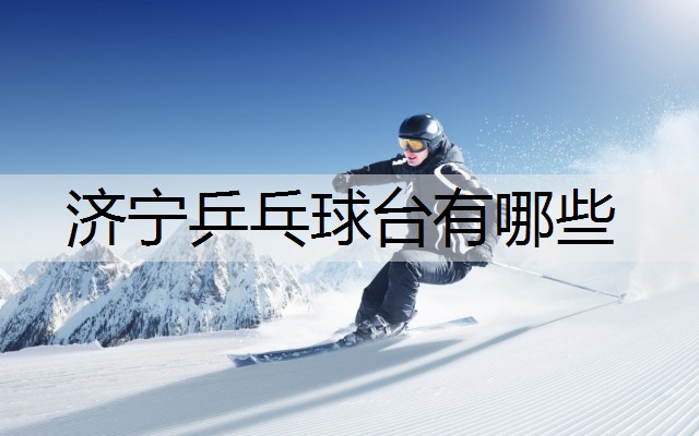 济宁乒乓球台有哪些