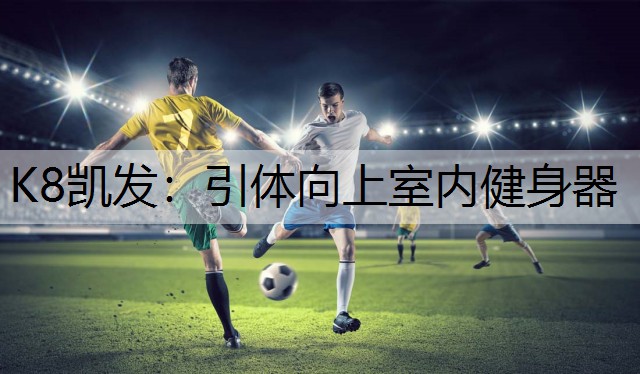K8凯发：引体向上室内健身器