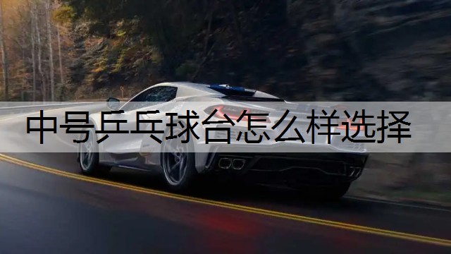 中号乒乓球台怎么样选择