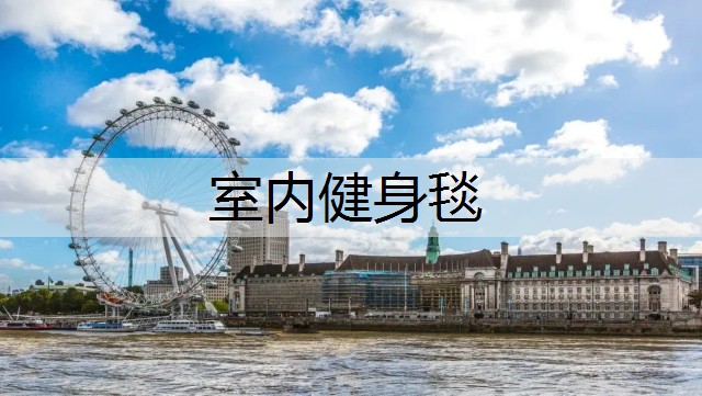 室内健身毯