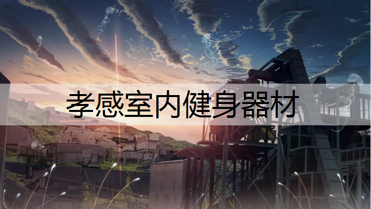 孝感室内健身器材