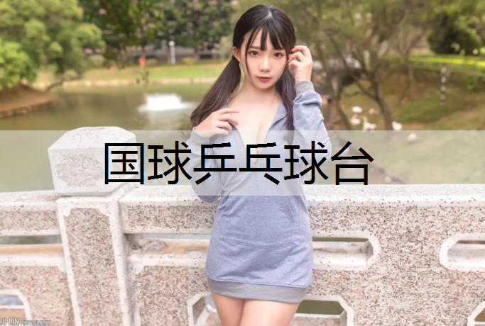 国球乒乓球台