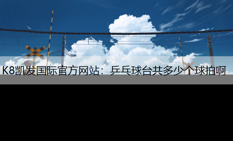 K8凯发国际官方网站：乒乓球台共多少个球拍啊