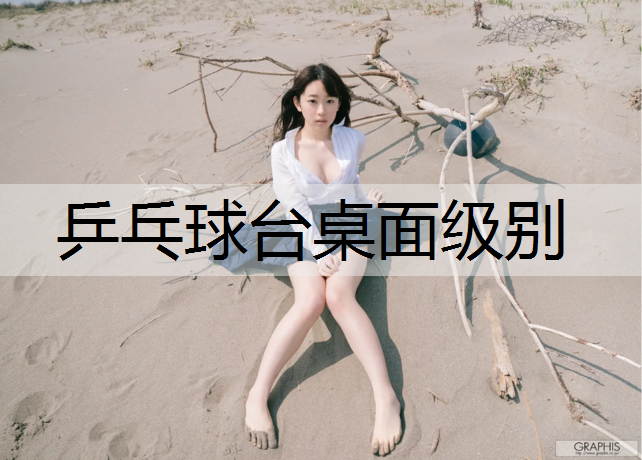 乒乓球台桌面级别