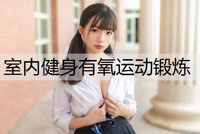 室内健身有氧运动锻炼