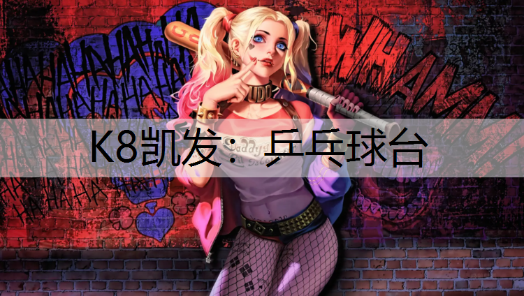 K8凯发：乒乓球台