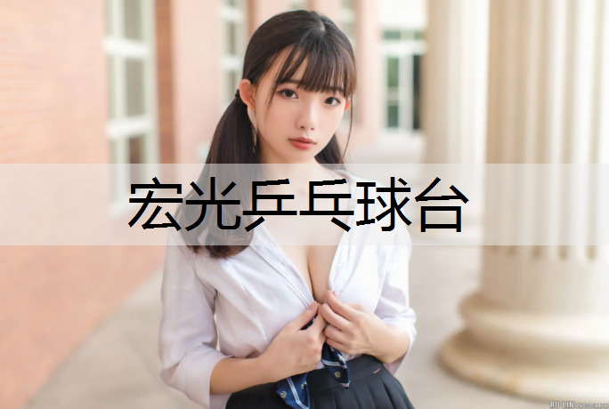 宏光乒乓球台