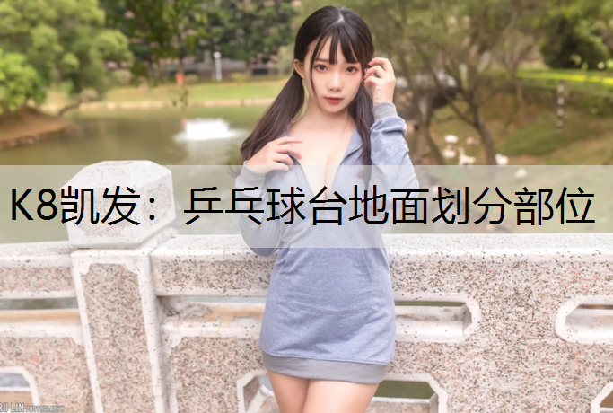 K8凯发：乒乓球台地面划分部位