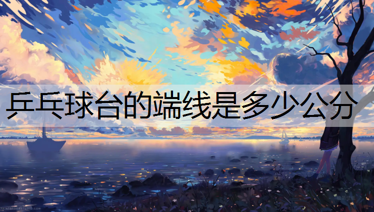 乒乓球台的端线是多少公分