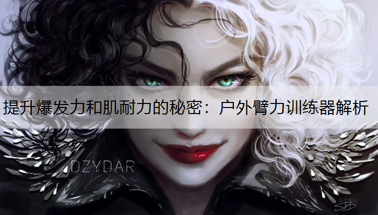 提升爆发力和肌耐力的秘密：户外臂力训练器解析