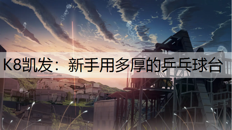 K8凯发：新手用多厚的乒乓球台