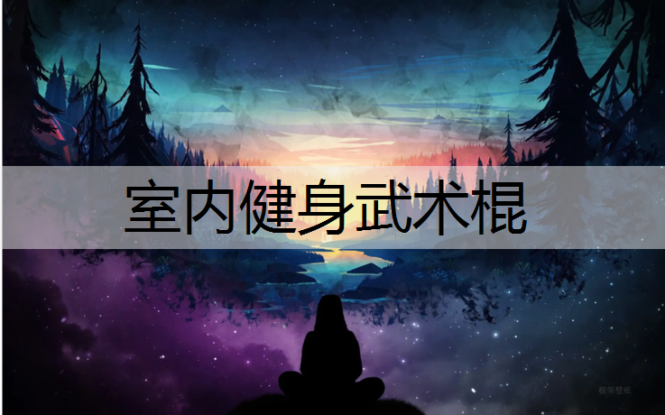 室内健身武术棍
