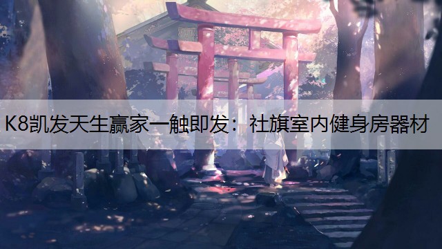 社旗室内健身房器材