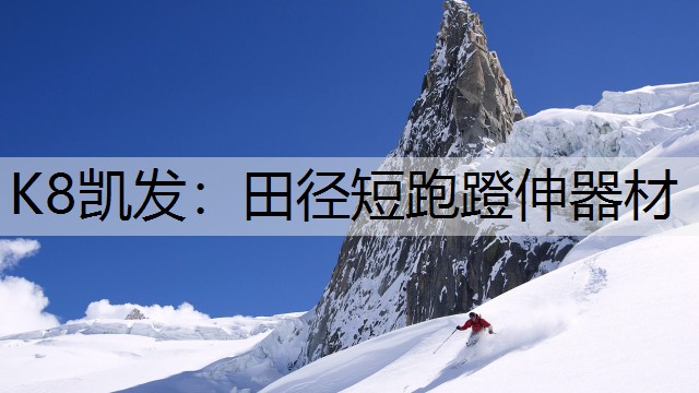 田径短跑蹬伸器材