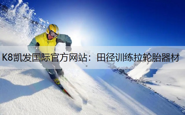 田径训练拉轮胎器材