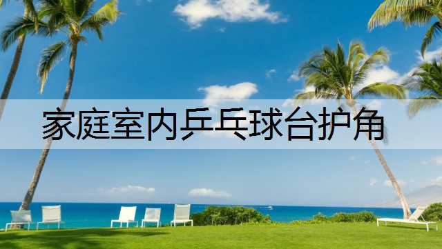 家庭室内乒乓球台护角 家庭室内乒乓球台护角