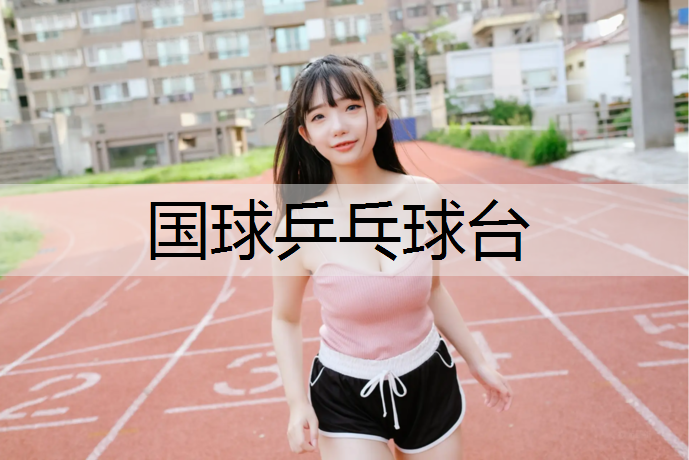 国球乒乓球台