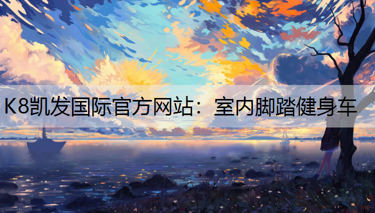 室内脚踏健身车
