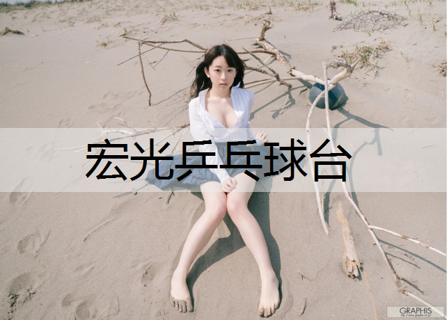 宏光乒乓球台