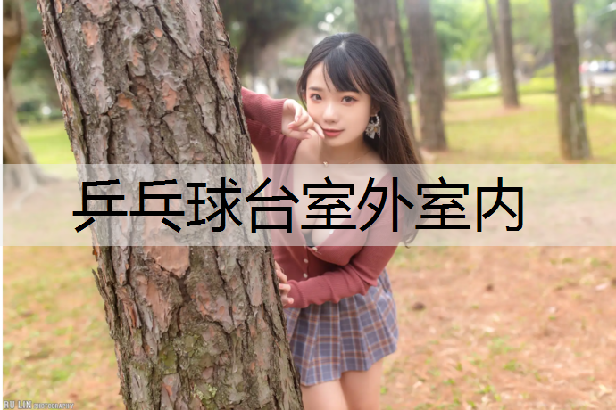 乒乓球台室外室内