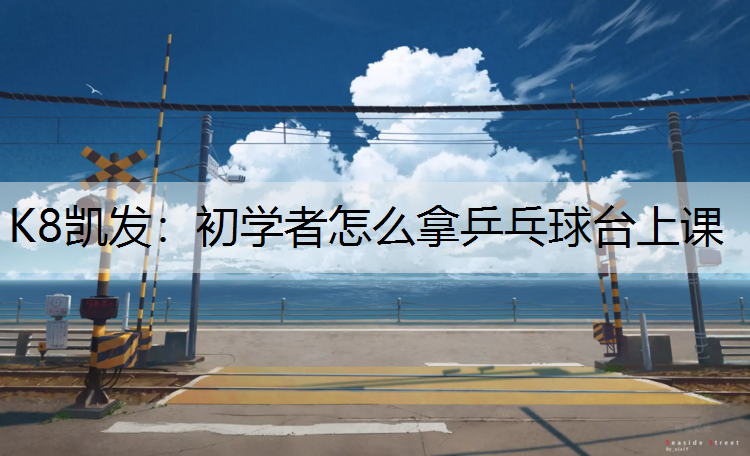 初学者怎么拿乒乓球台上课