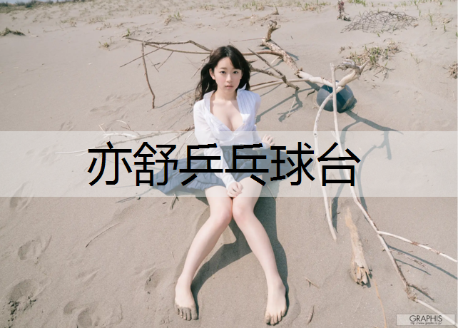 亦舒乒乓球台